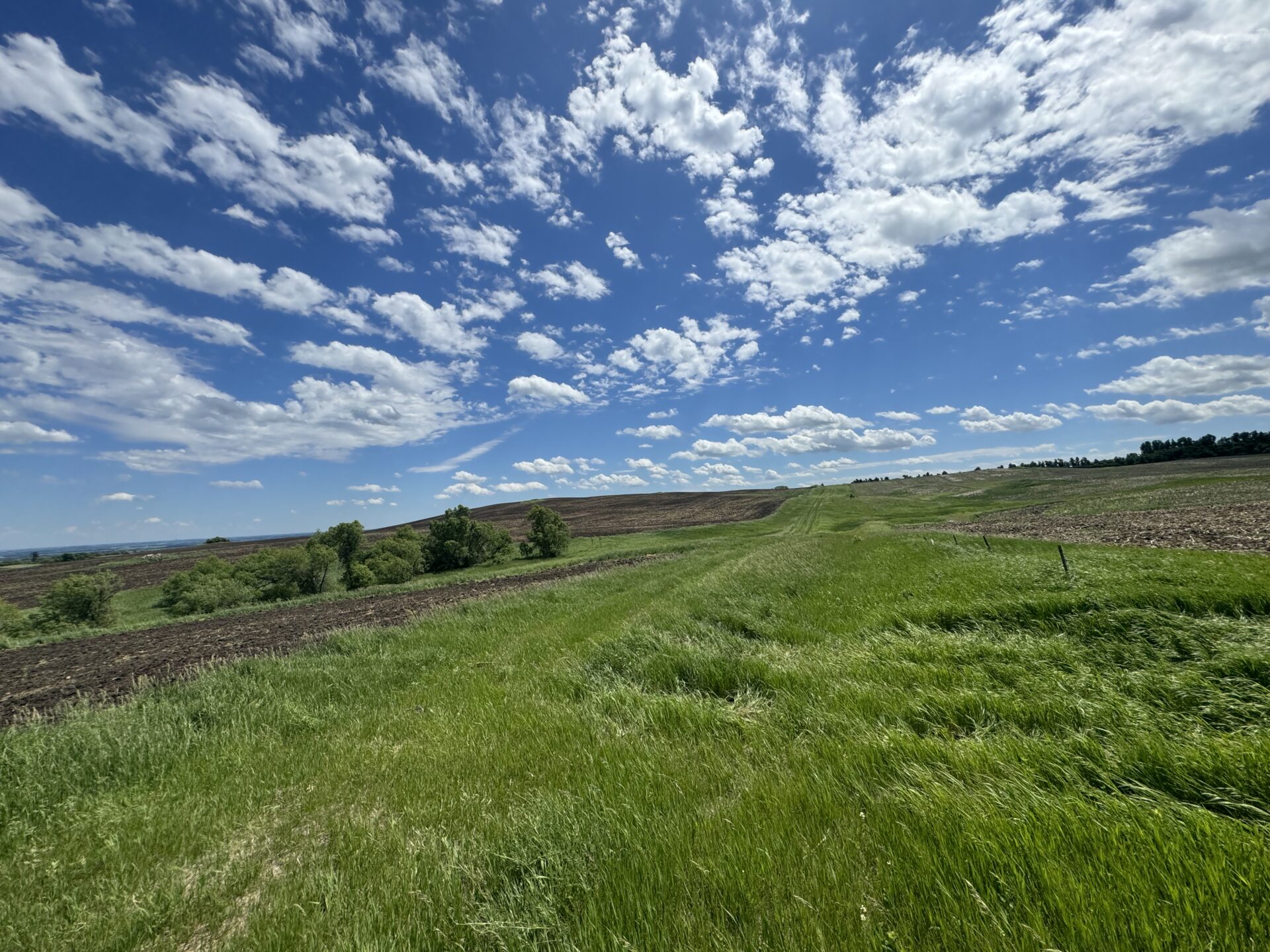440 +/- Acres – Roberts County, SD