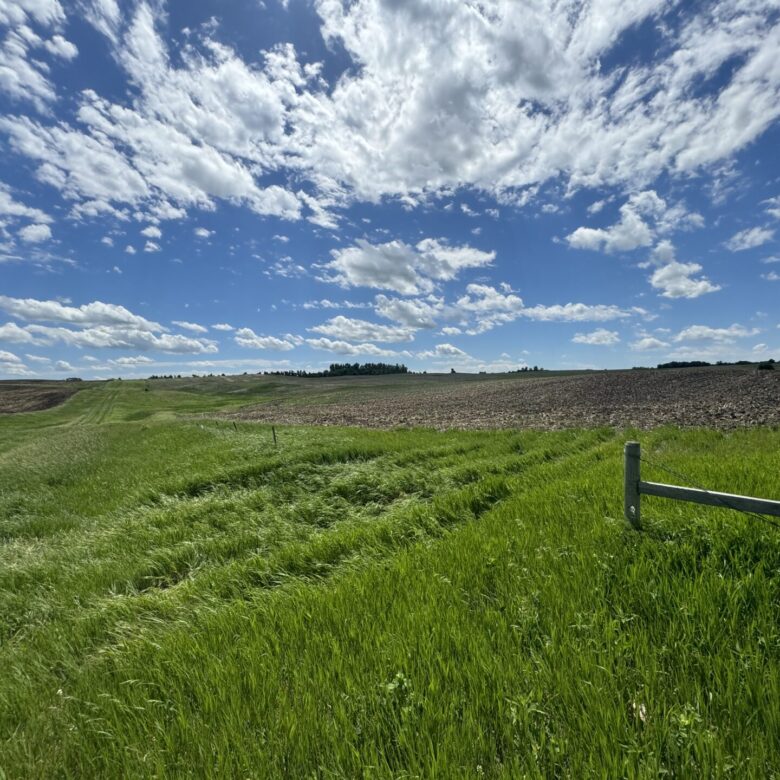 440 +/- Acres – Roberts County, SD