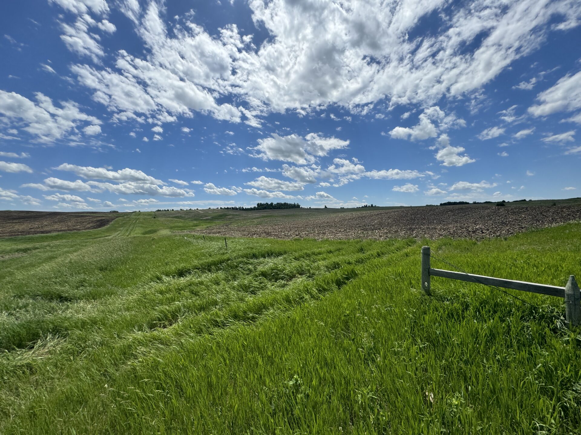440 +/- Acres – Roberts County, SD