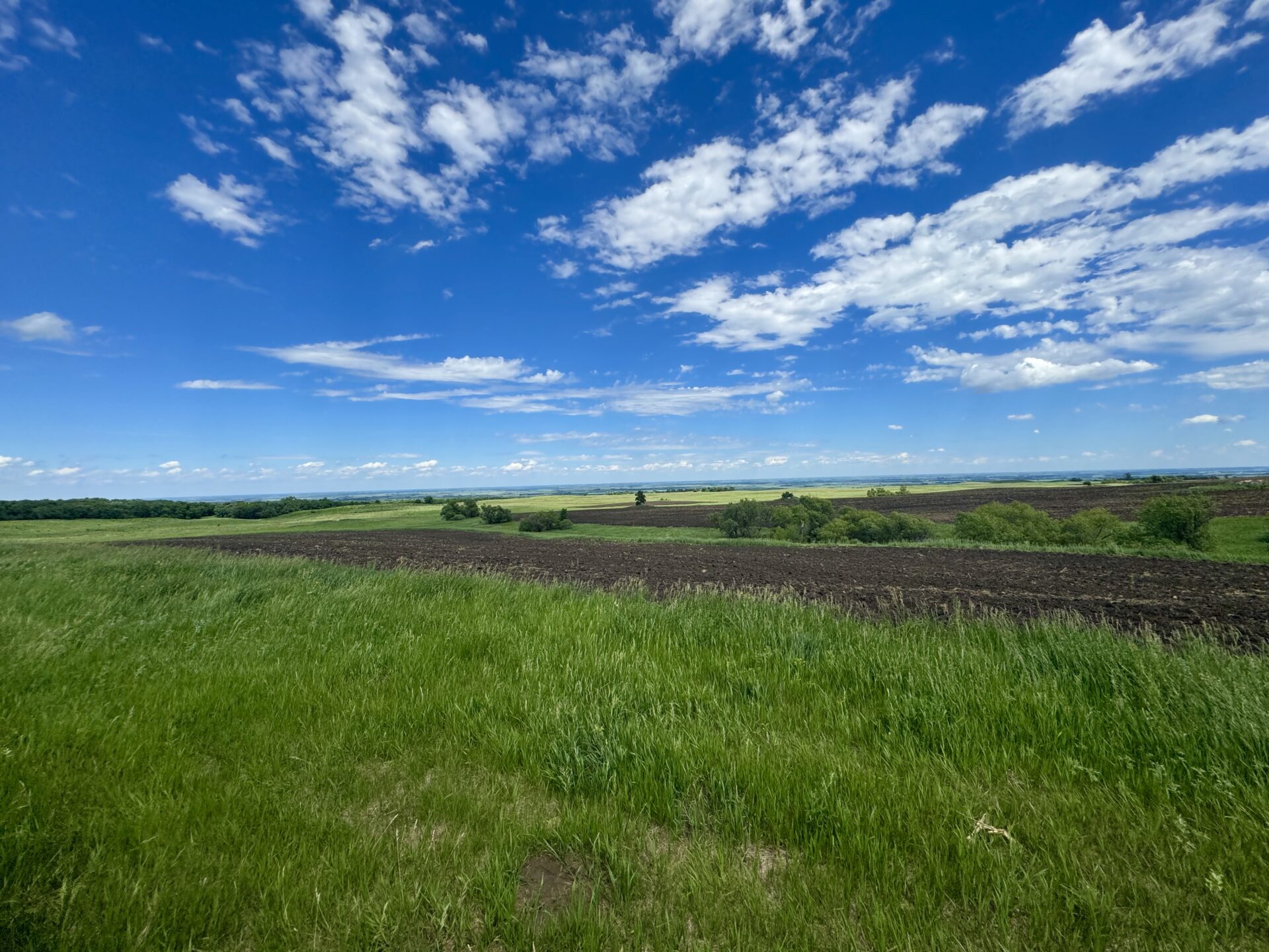 440 +/- Acres – Roberts County, SD