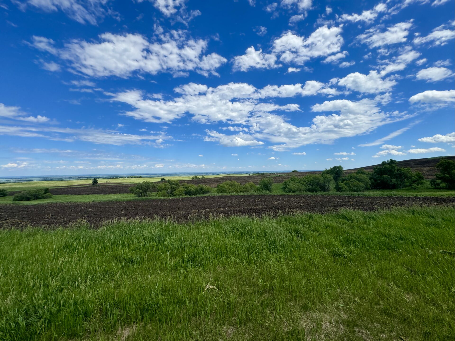 440 +/- Acres – Roberts County, SD