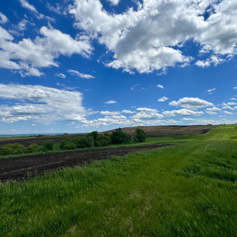 440 +/- Acres – Roberts County, SD