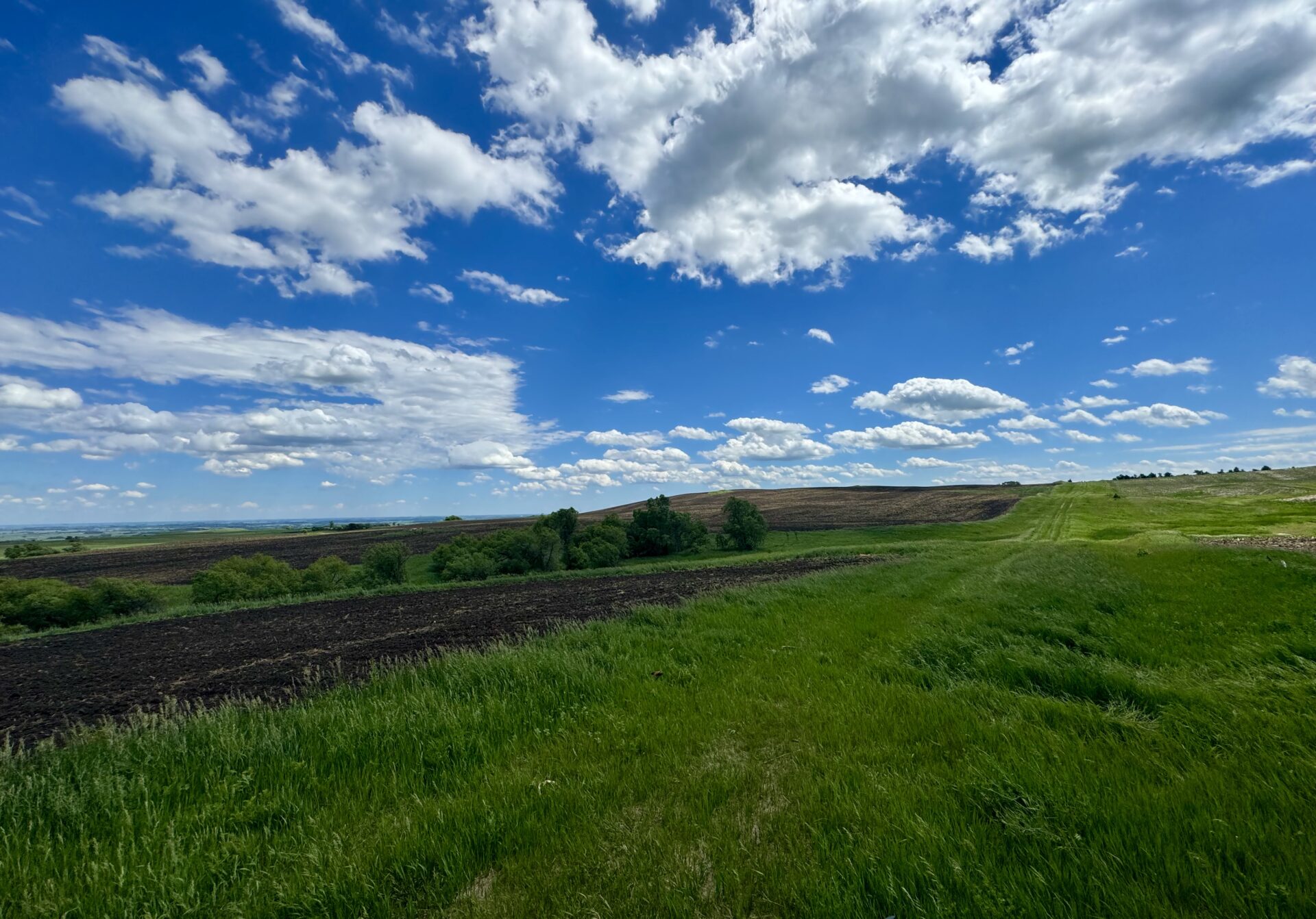 440 +/- Acres – Roberts County, SD