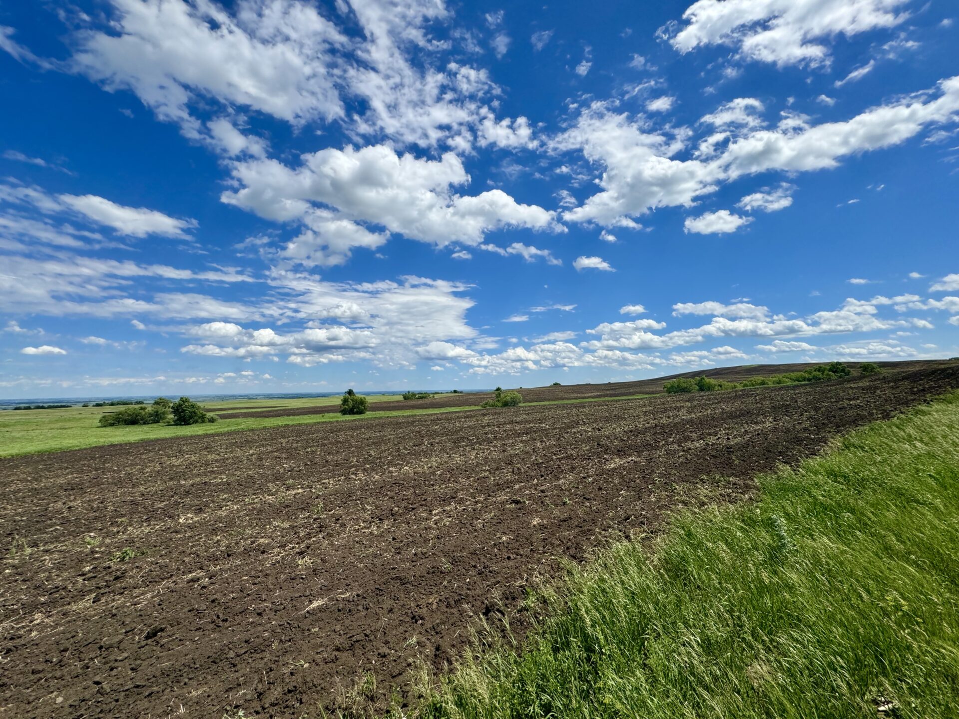 440 +/- Acres – Roberts County, SD