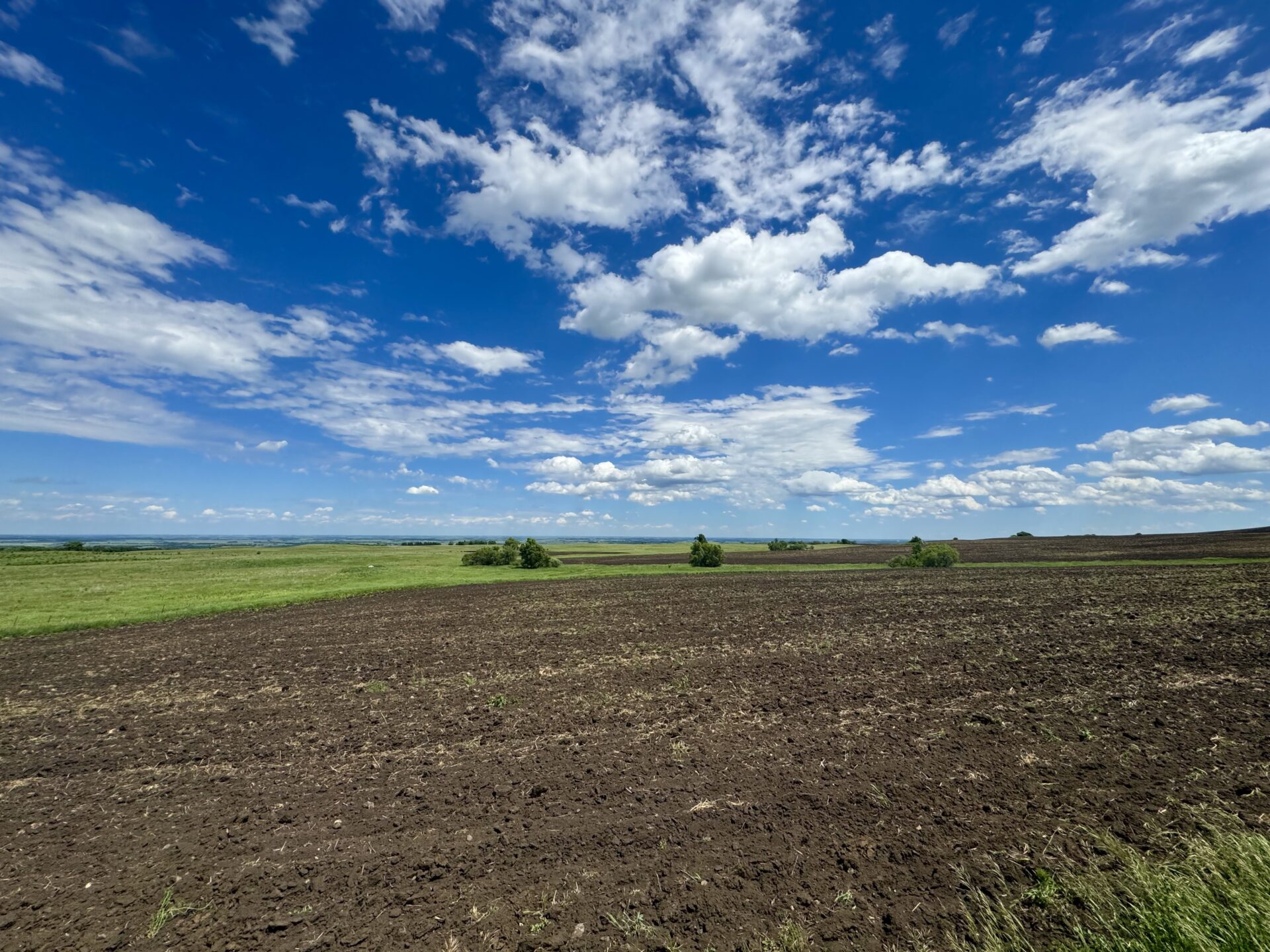440 +/- Acres – Roberts County, SD