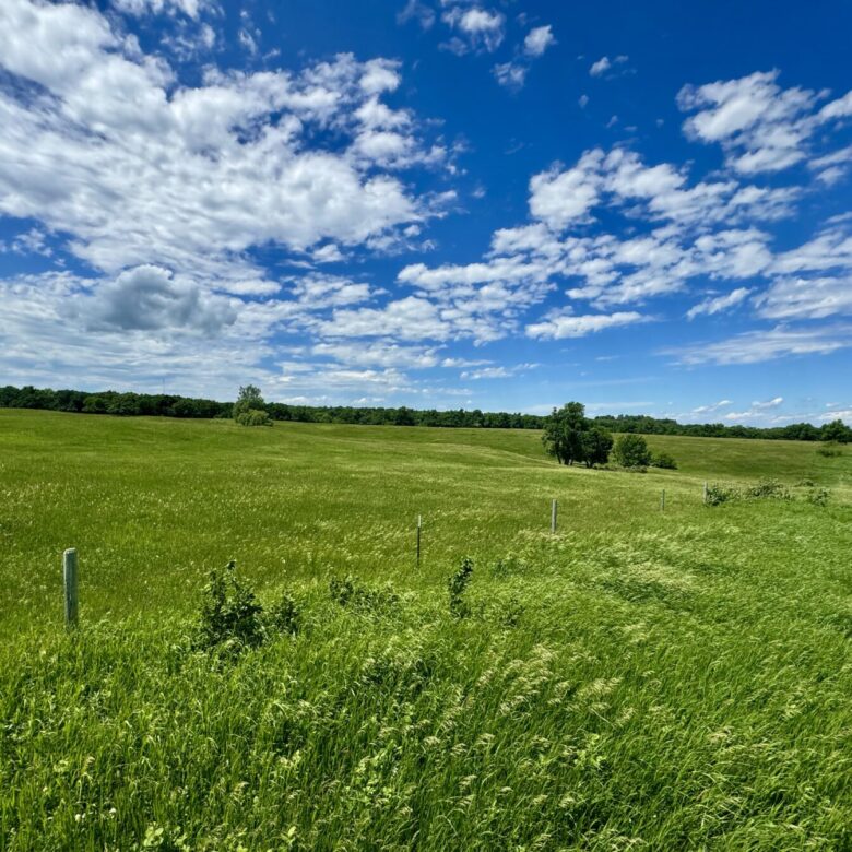 440 +/- Acres – Roberts County, SD