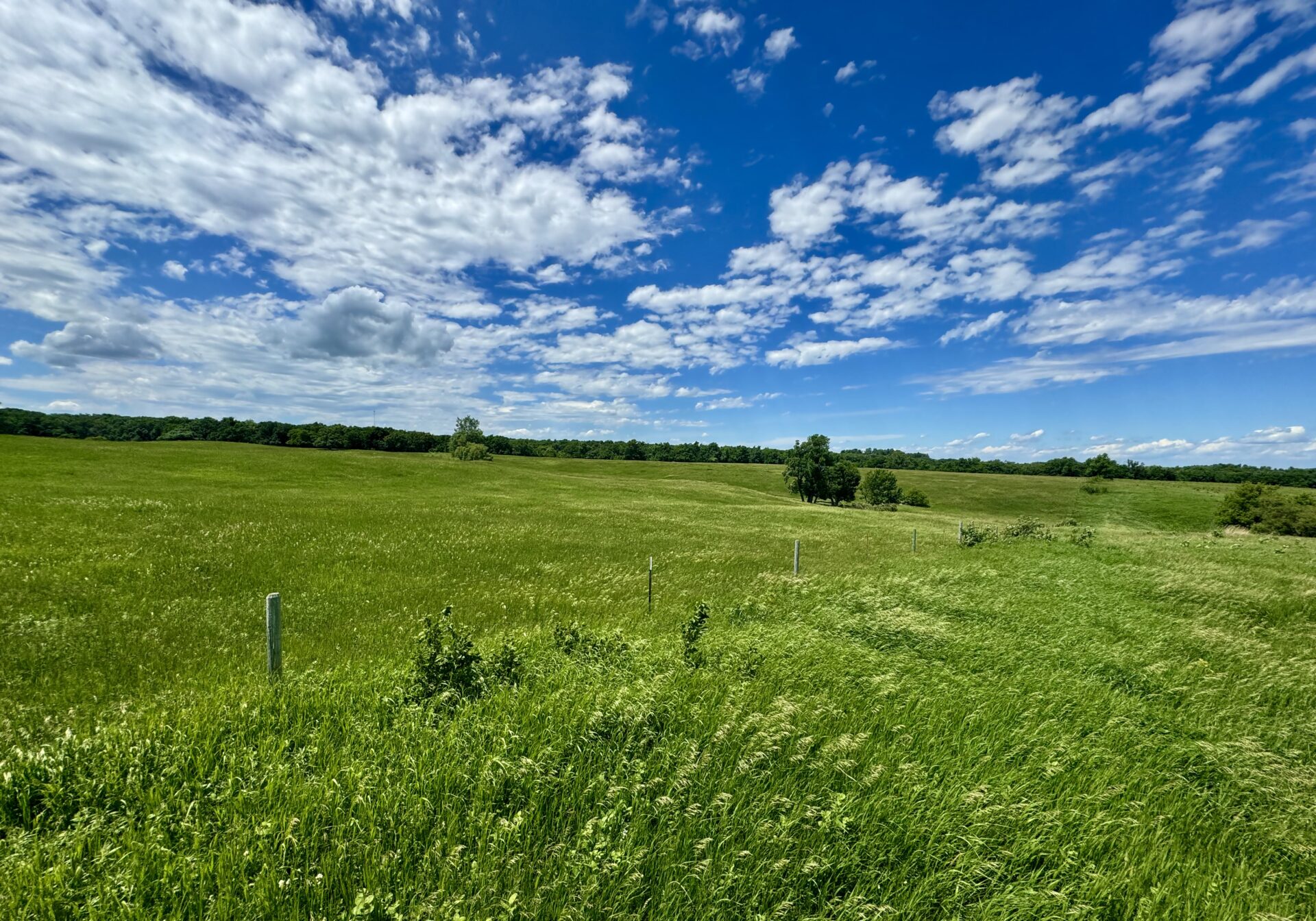 440 +/- Acres – Roberts County, SD