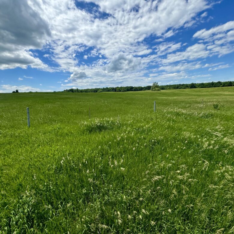 440 +/- Acres – Roberts County, SD