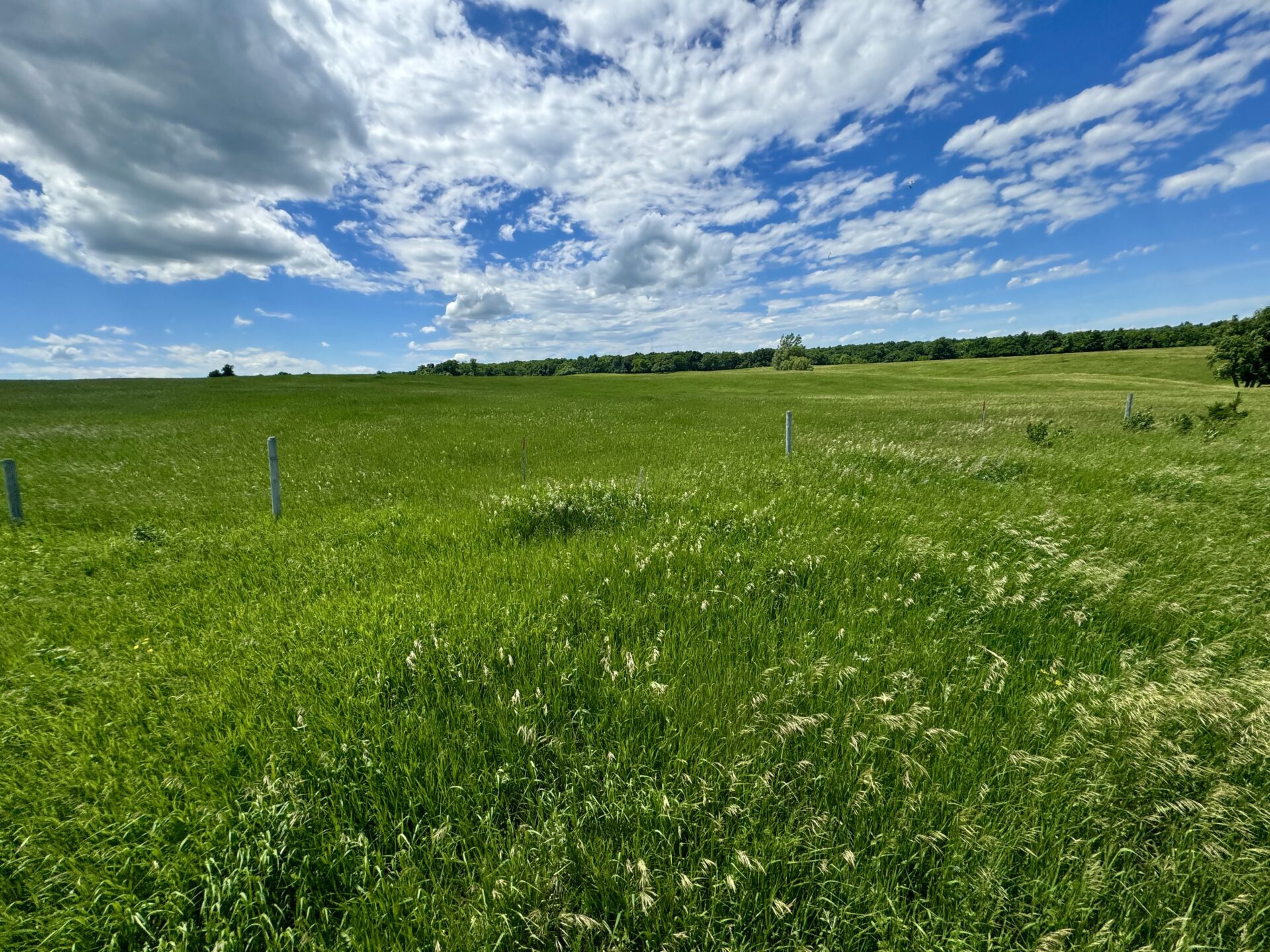 440 +/- Acres – Roberts County, SD
