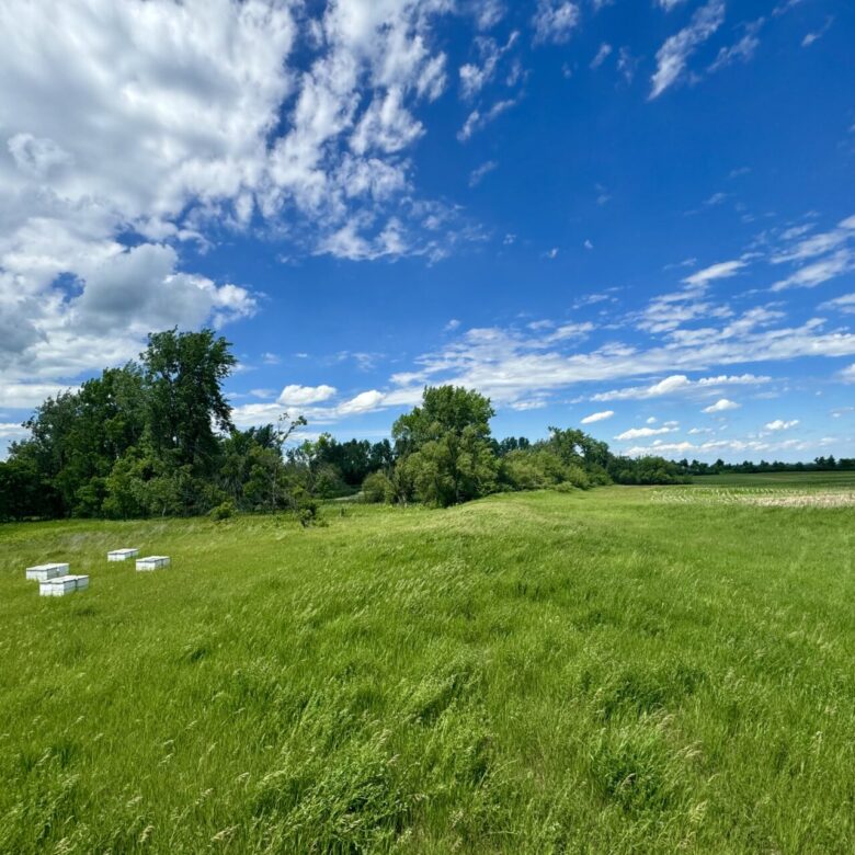 440 +/- Acres – Roberts County, SD