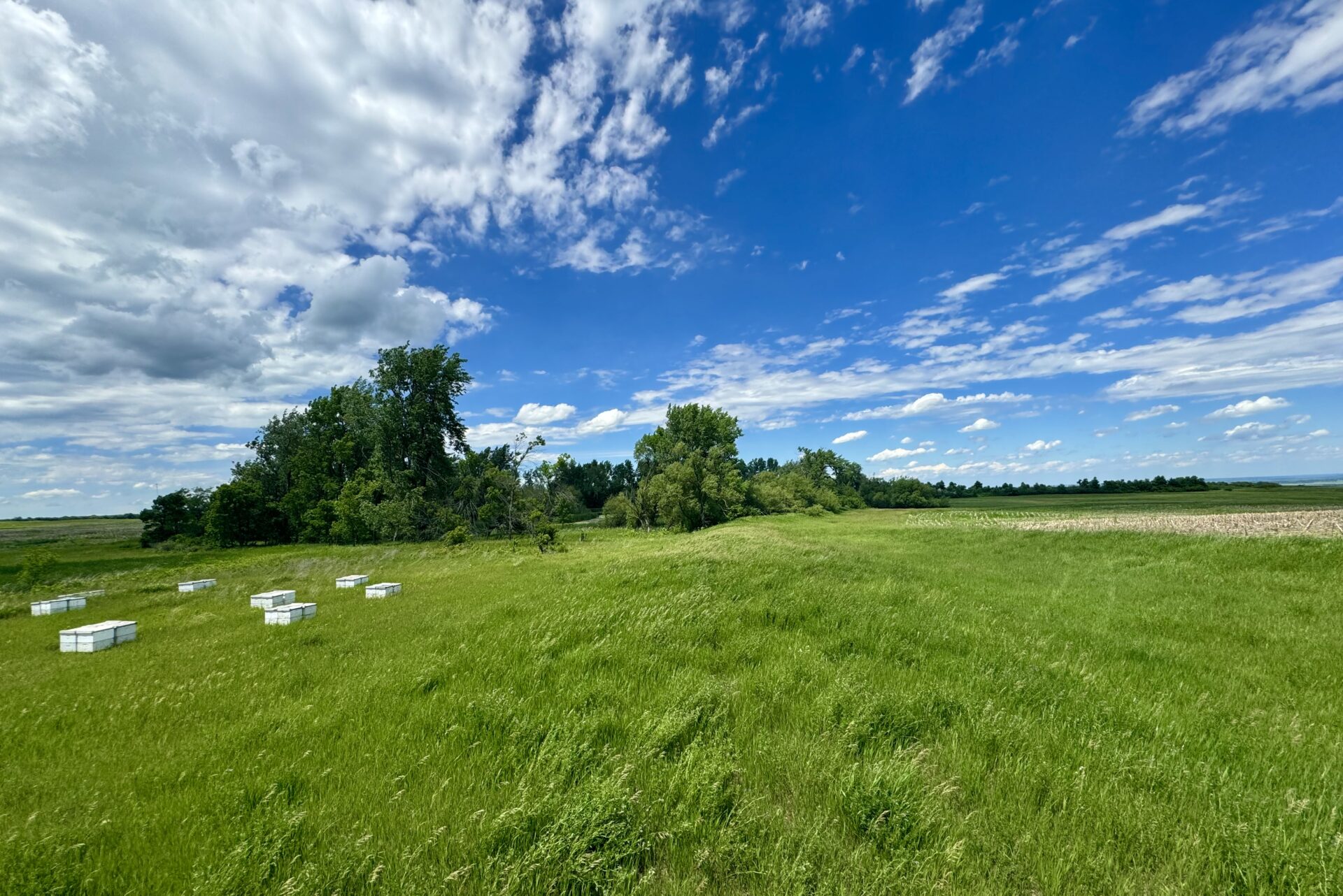 440 +/- Acres – Roberts County, SD