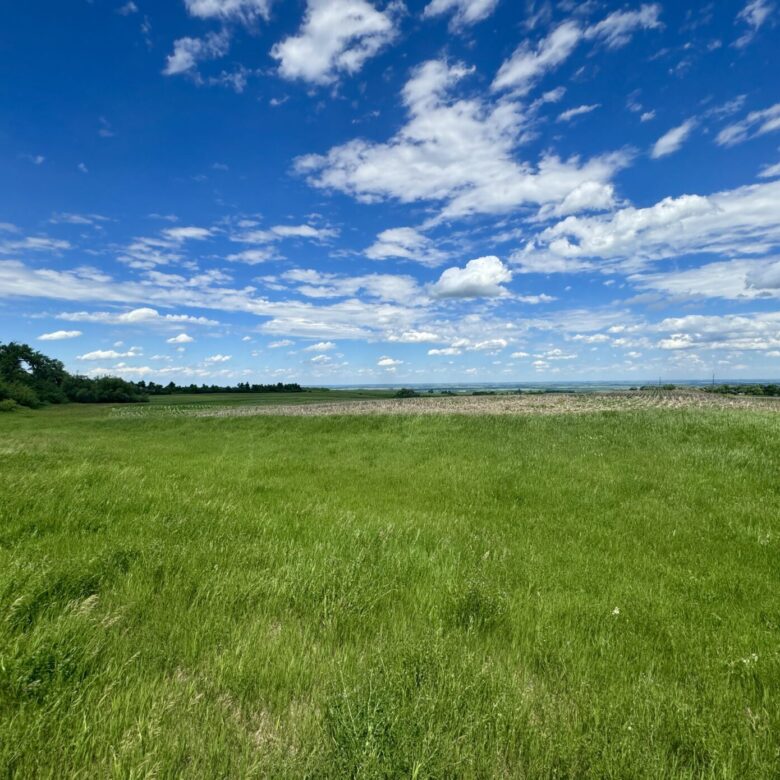 440 +/- Acres – Roberts County, SD