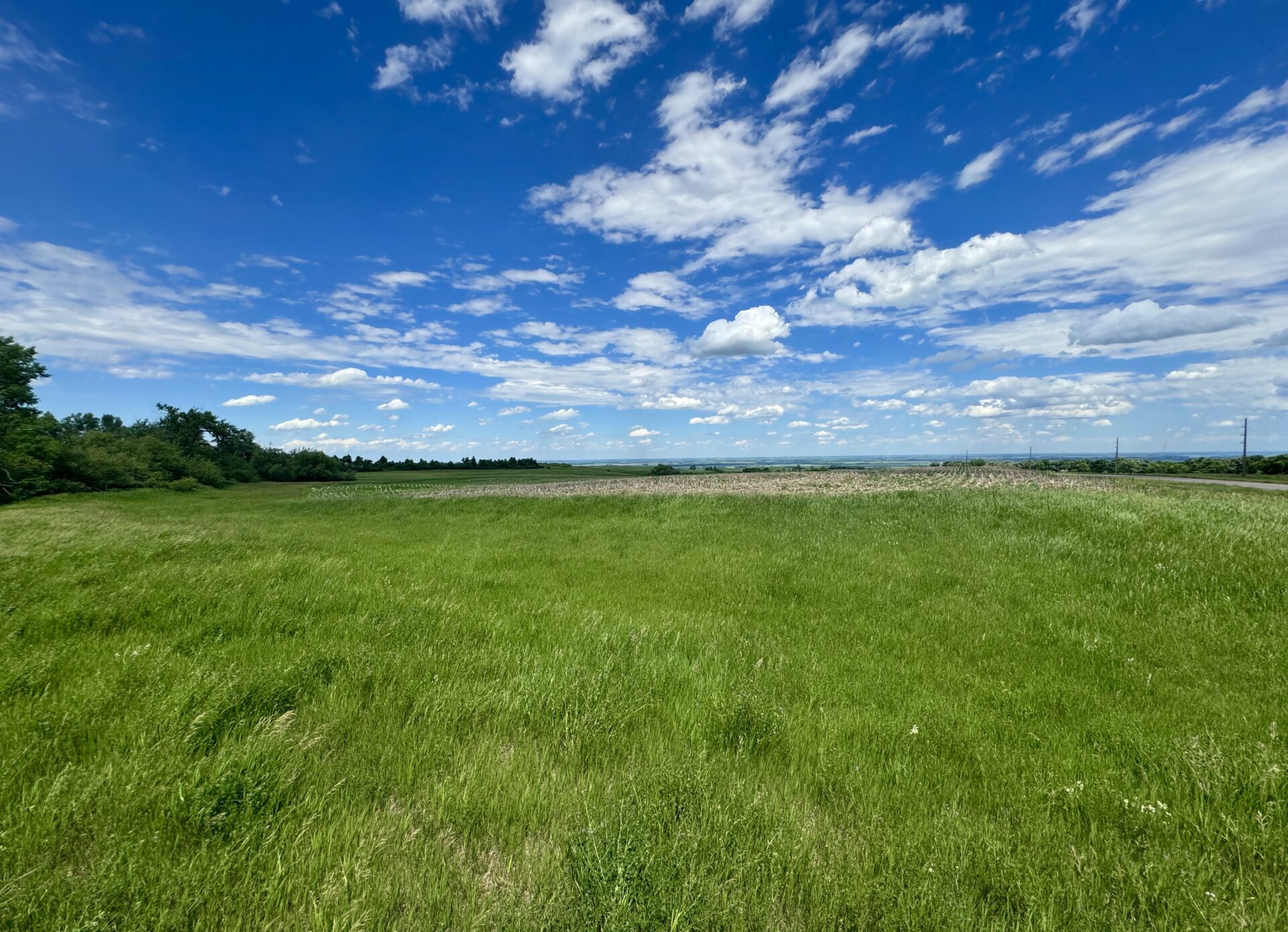 440 +/- Acres – Roberts County, SD