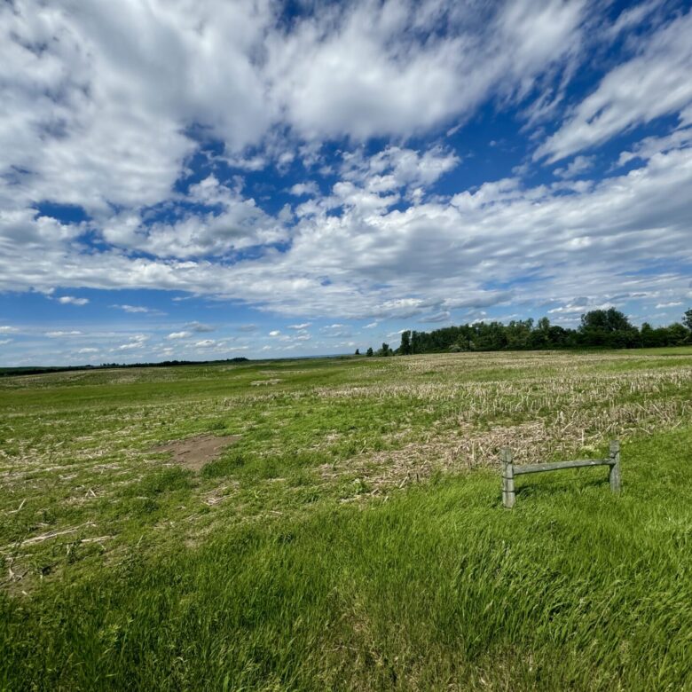 440 +/- Acres – Roberts County, SD