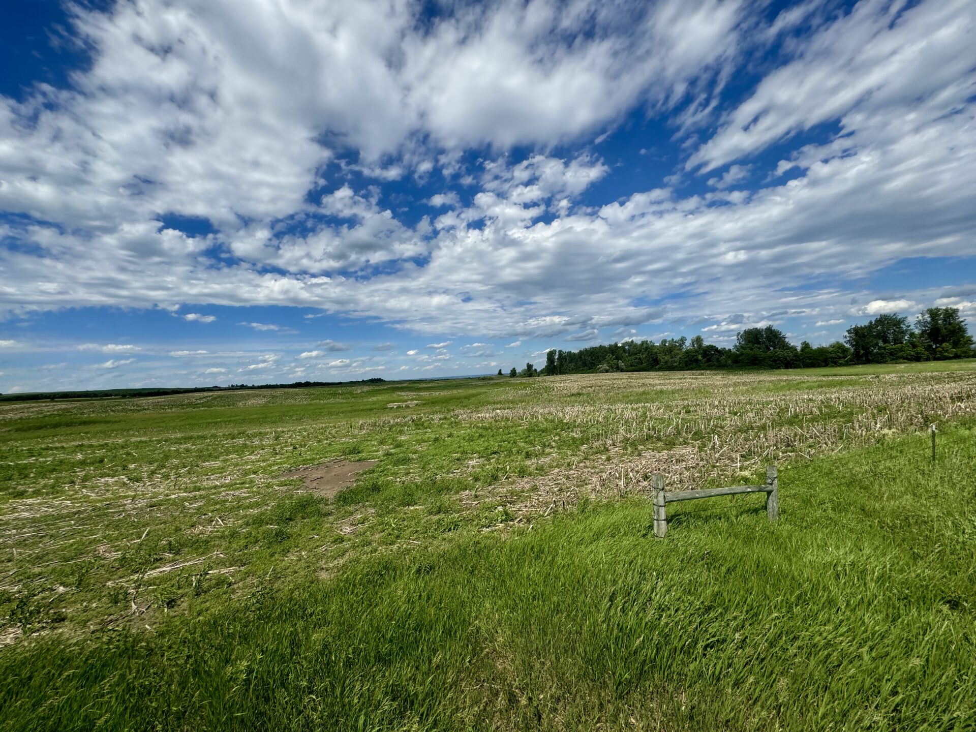 440 +/- Acres – Roberts County, SD