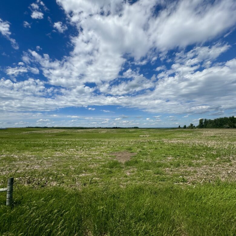 440 +/- Acres – Roberts County, SD