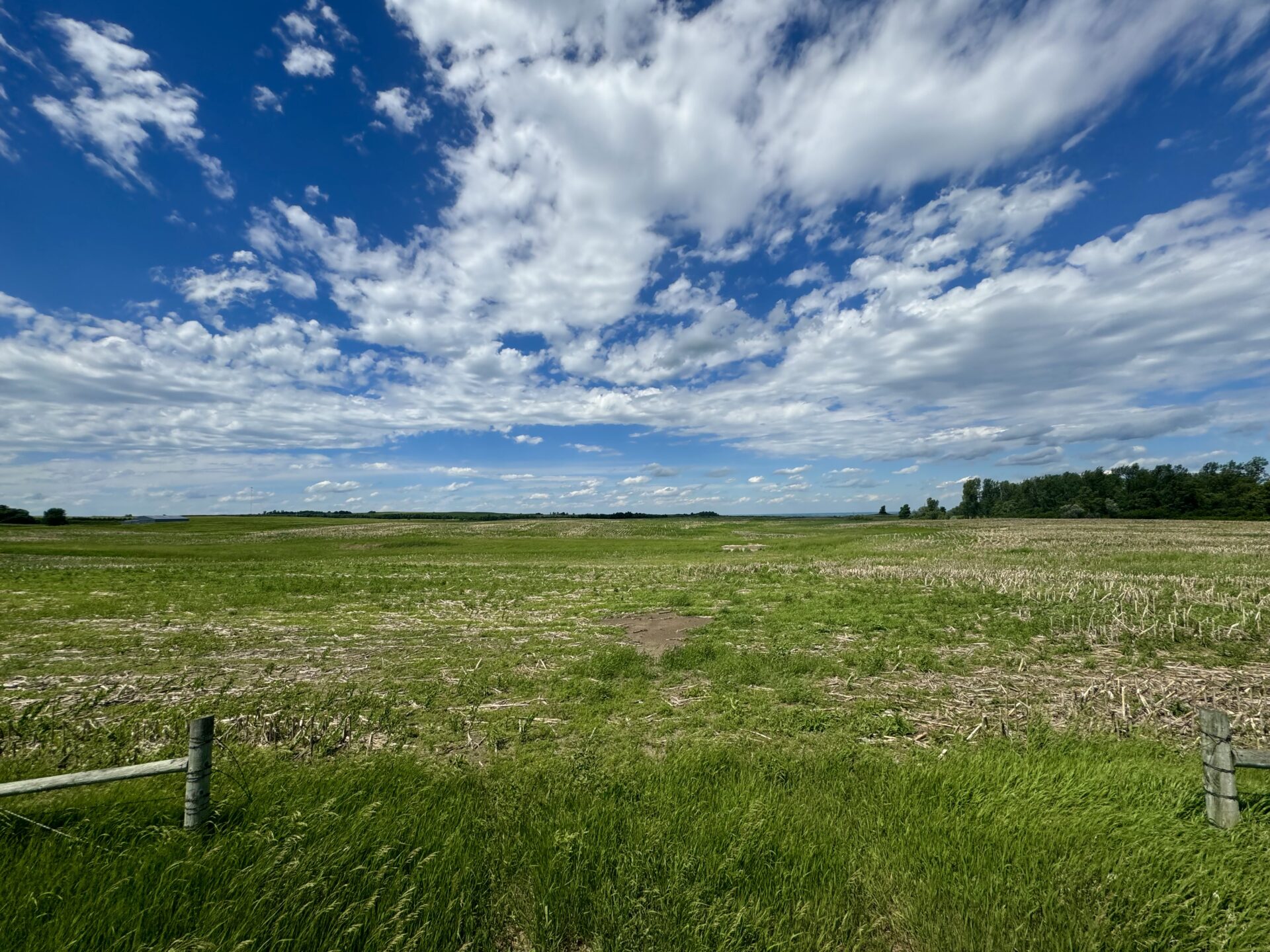 440 +/- Acres – Roberts County, SD