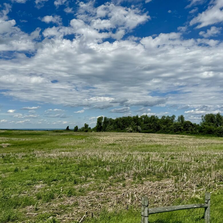440 +/- Acres – Roberts County, SD