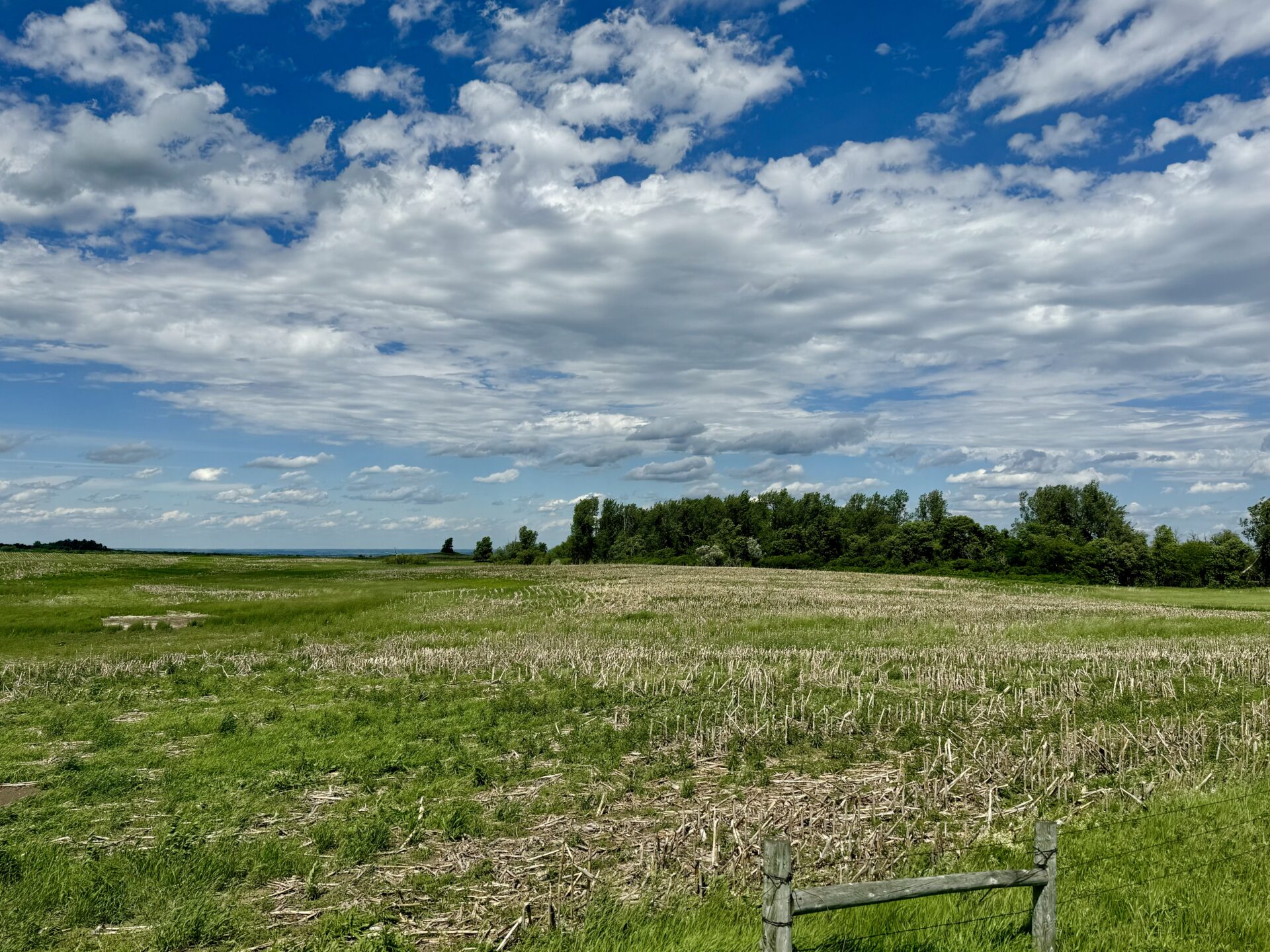 440 +/- Acres – Roberts County, SD