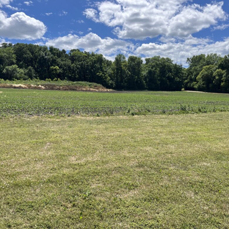 Storage Sheds – Back Lot Lake Traverse – Minnesota