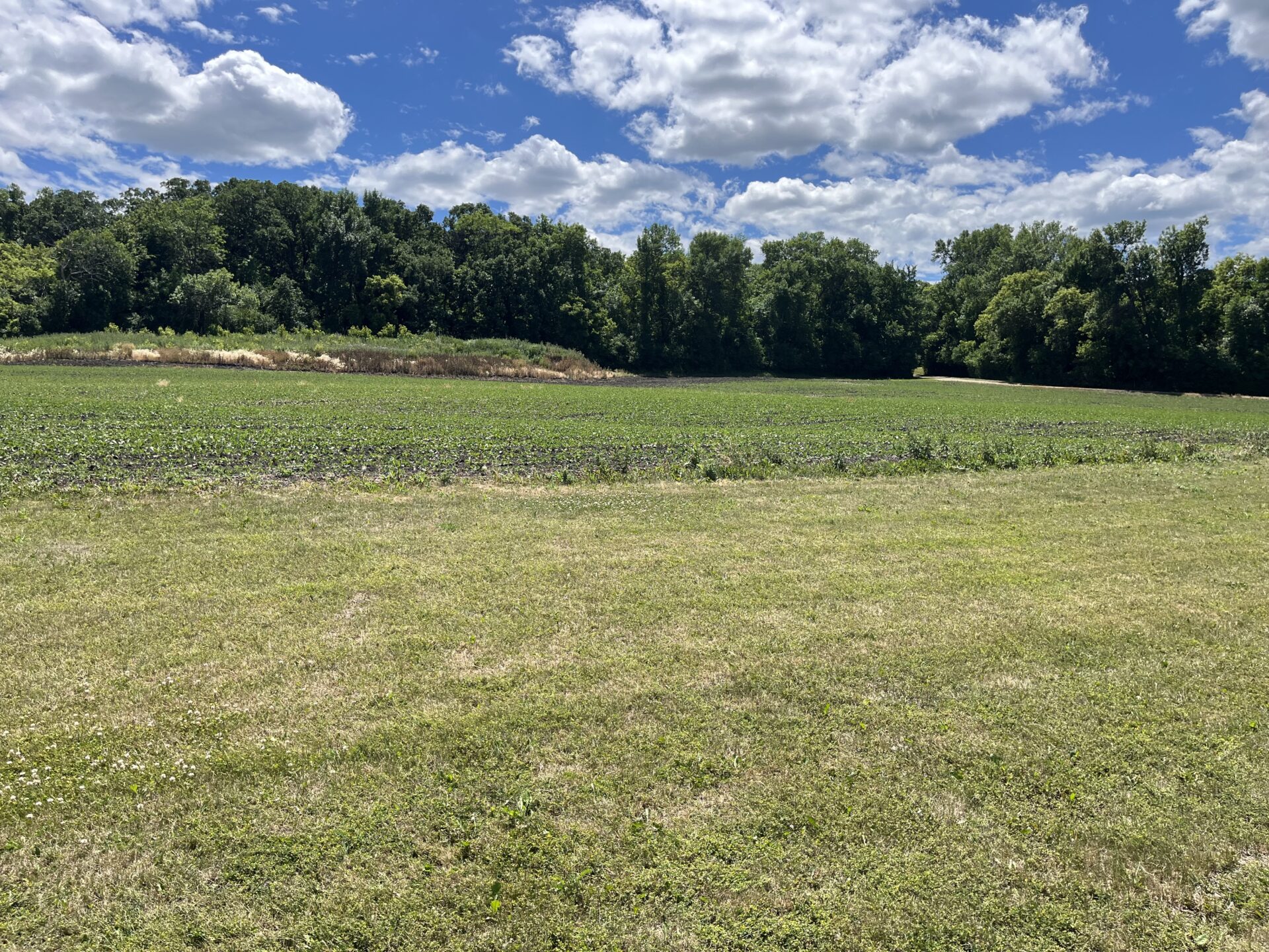 Storage Sheds – Back Lot Lake Traverse – Minnesota