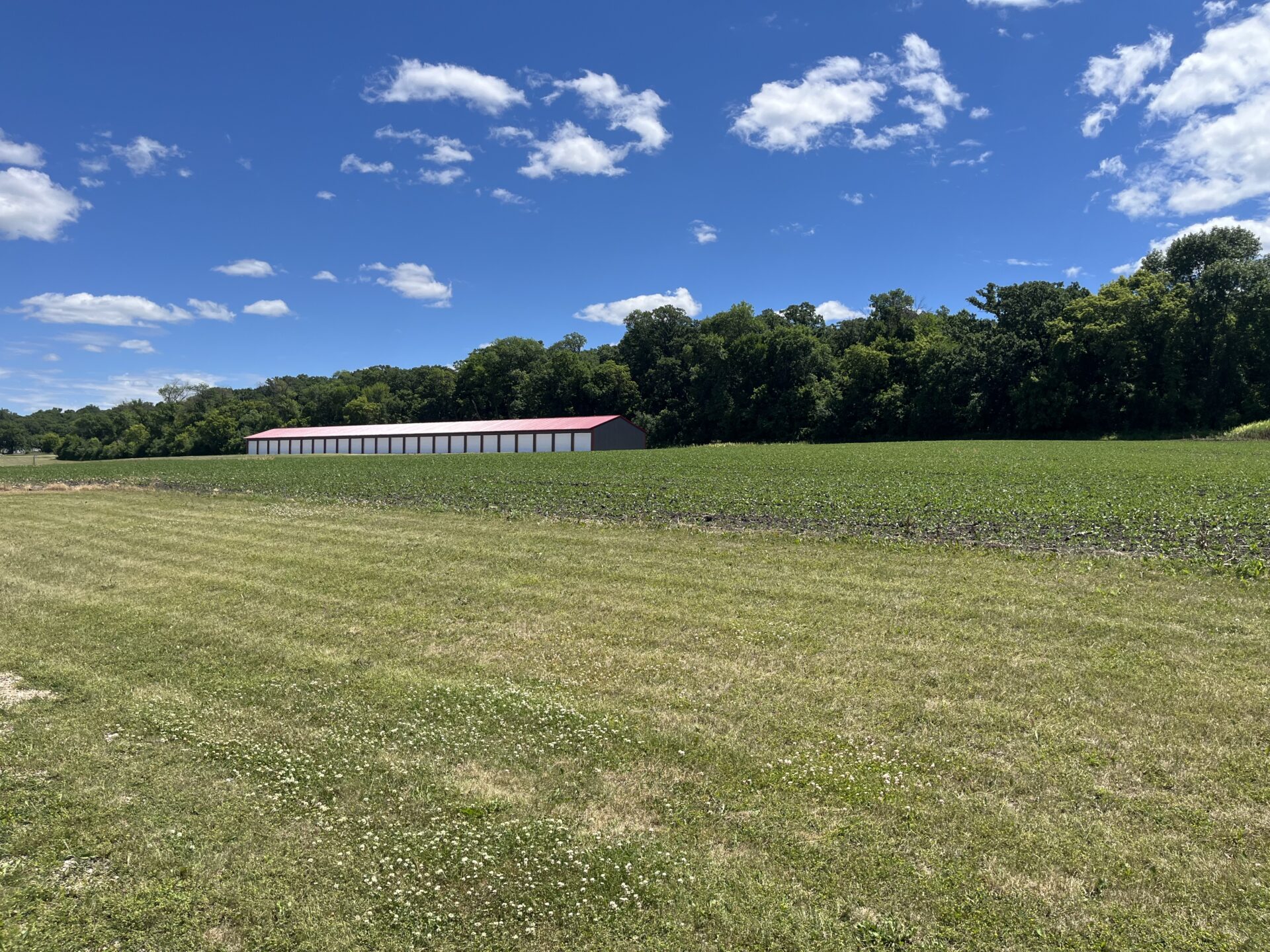 Storage Sheds – Back Lot Lake Traverse – Minnesota