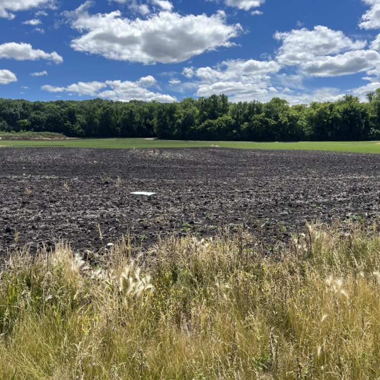 Back Lot – Lake Traverse, Minnesota