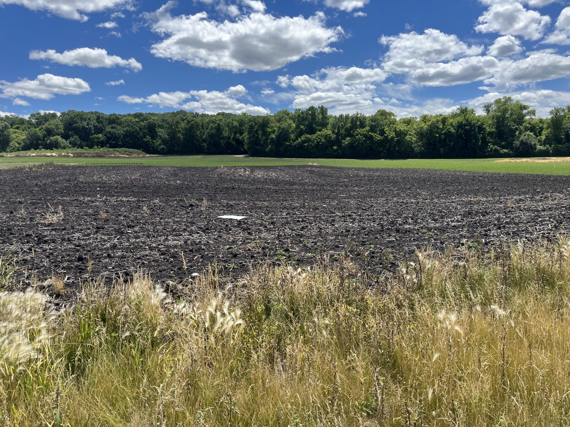 Back Lot – Lake Traverse, Minnesota