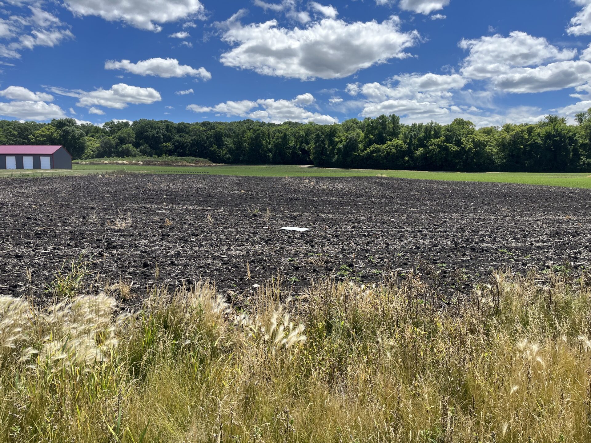 Back Lot – Lake Traverse, Minnesota