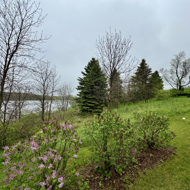 Nine Mile Lake – 11150 9 Mile Rd – Veblen, SD