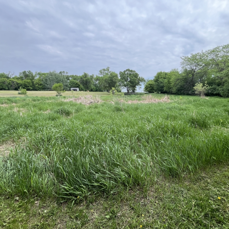 45949 111th St – Sisseton, SD
