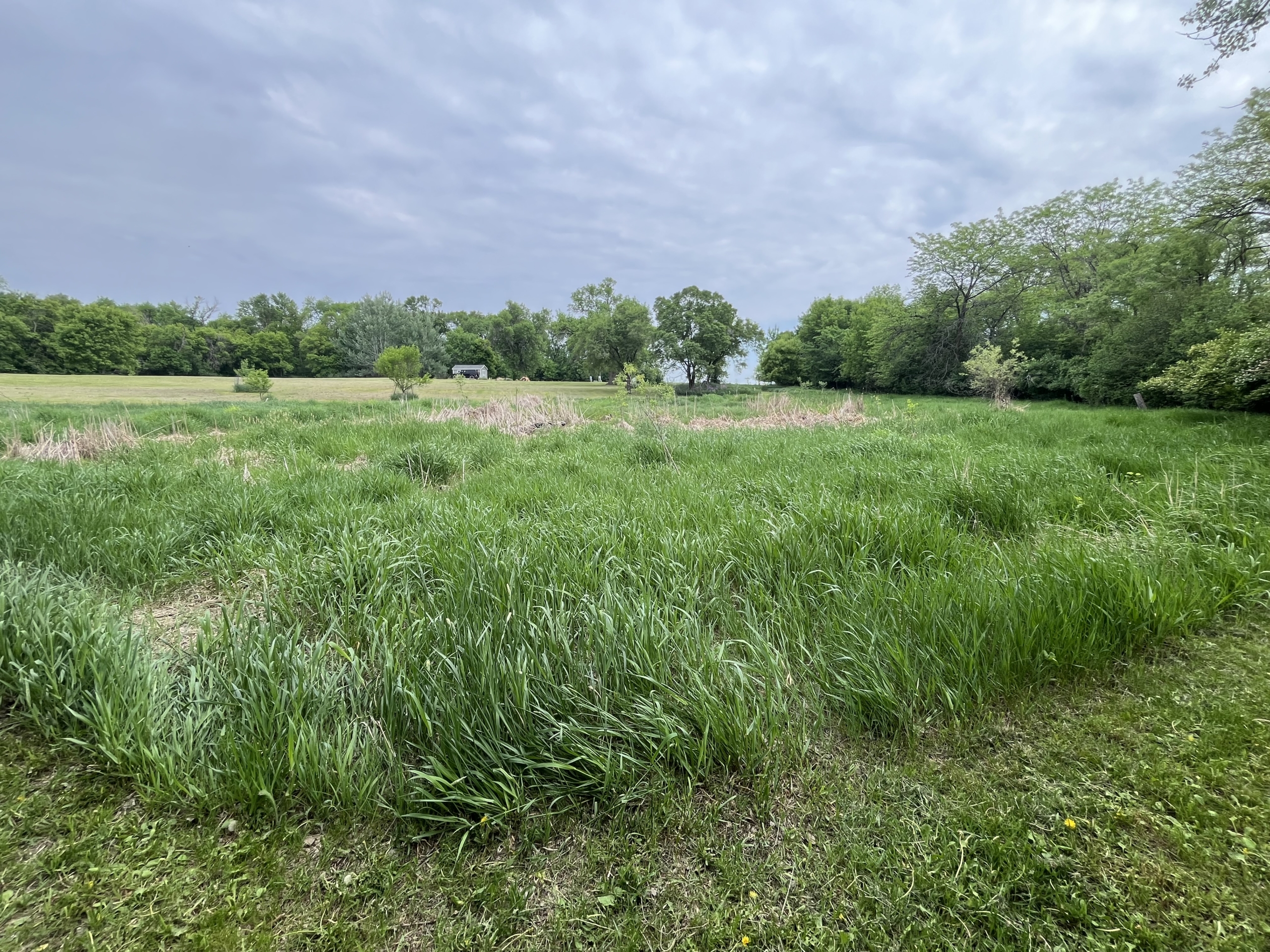45949 111th St – Sisseton, SD