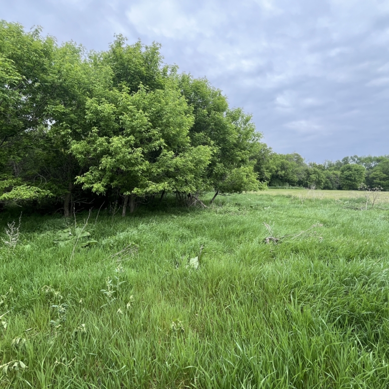 45949 111th St – Sisseton, SD