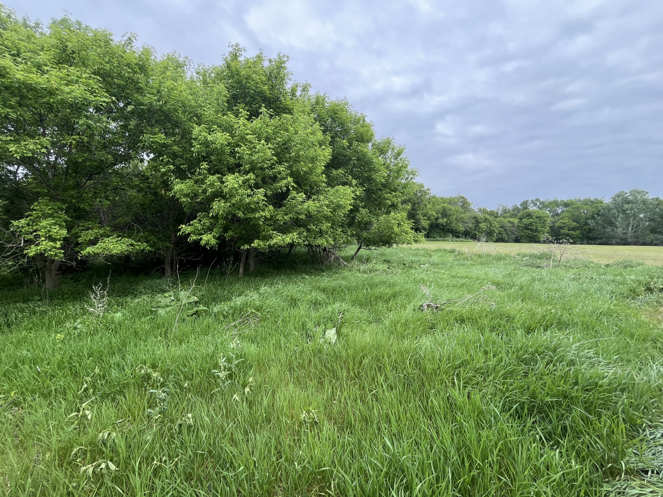 45949 111th St – Sisseton, SD