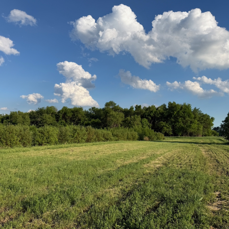 10712 Tory Road – Britton, SD