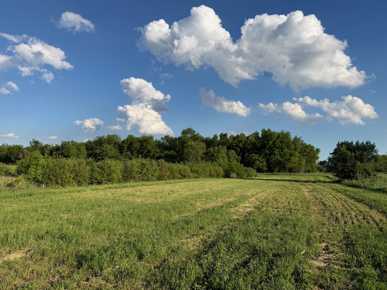 10712 Tory Road – Britton, SD