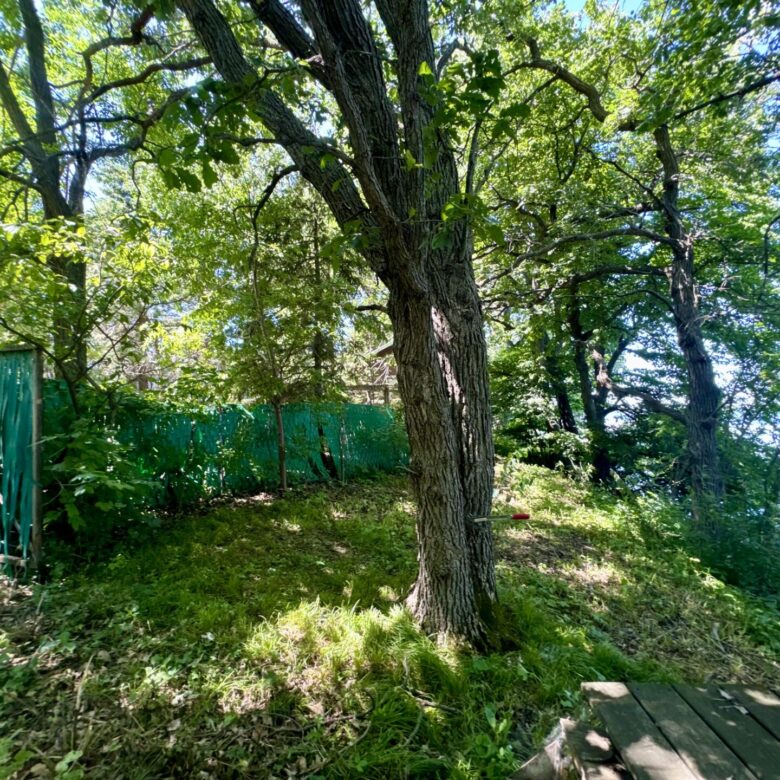 Clear Lake – 442478 S. Shore Dr. Lake City, SD