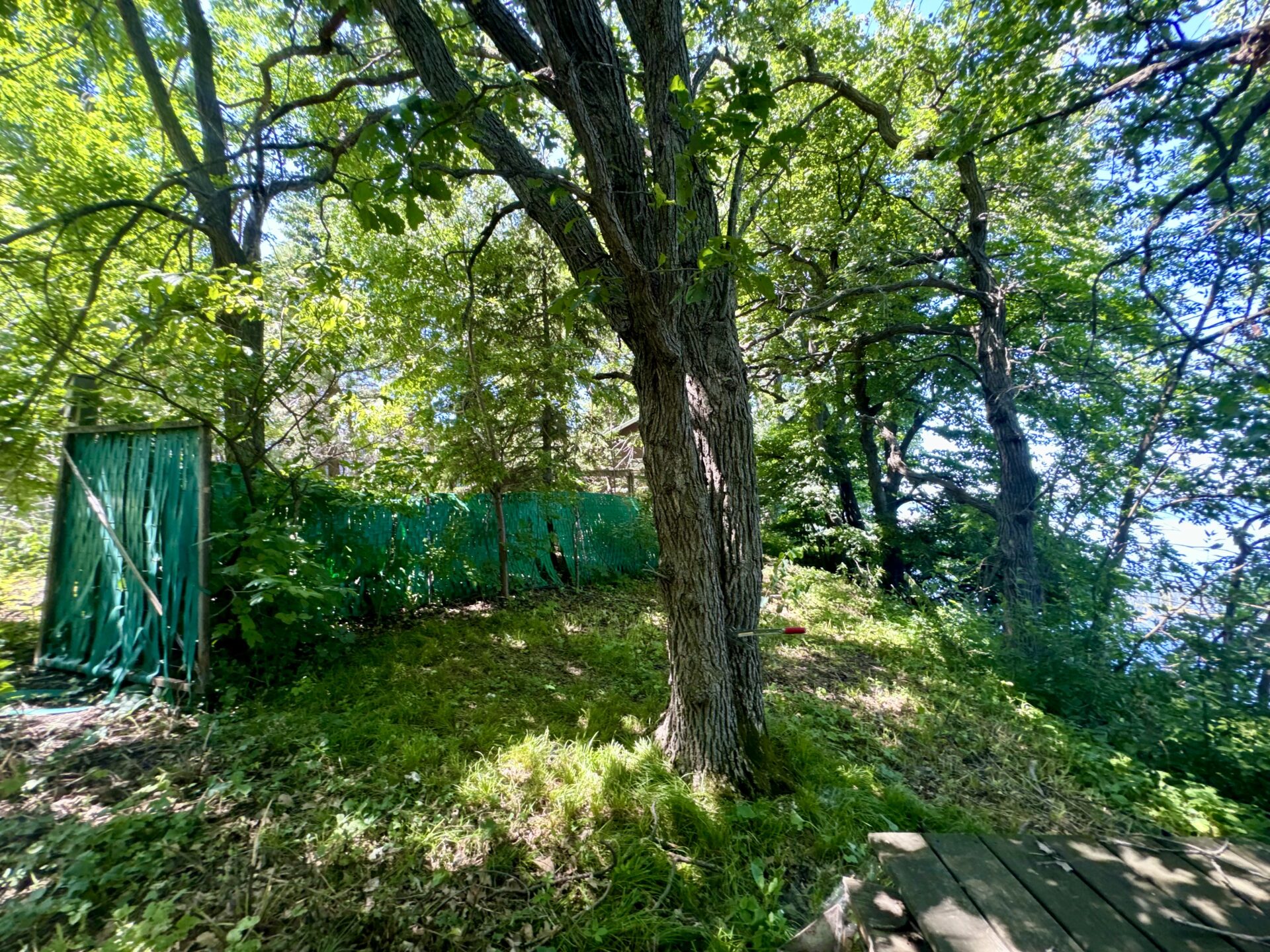 Clear Lake – 442478 S. Shore Dr. Lake City, SD