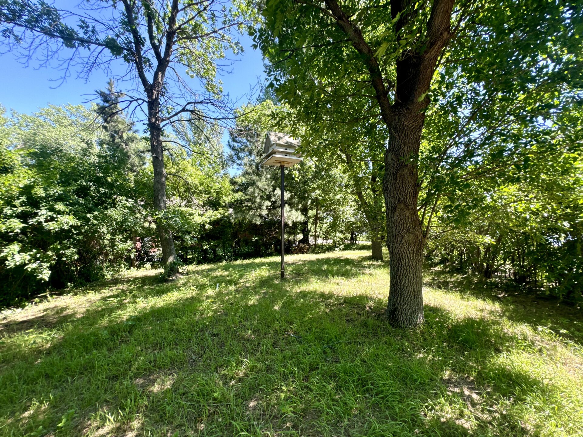 Clear Lake – 442478 S. Shore Dr. Lake City, SD