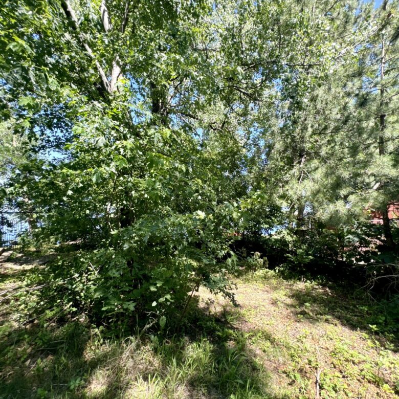 Clear Lake – 442478 S. Shore Dr. Lake City, SD