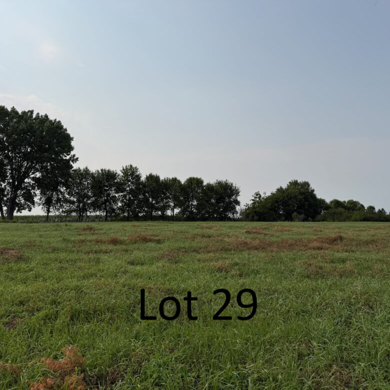 Roy Lake – Estate Drive Lots 29 & 35 – Lake City, SD