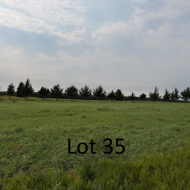 Roy Lake – Estate Drive Lots 29 & 35 – Lake City, SD