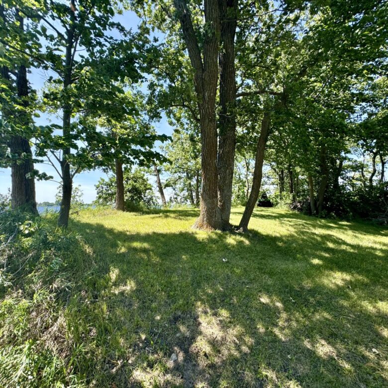 Almos Lake – 121109 Buffalo Lake Ln Eden, SD