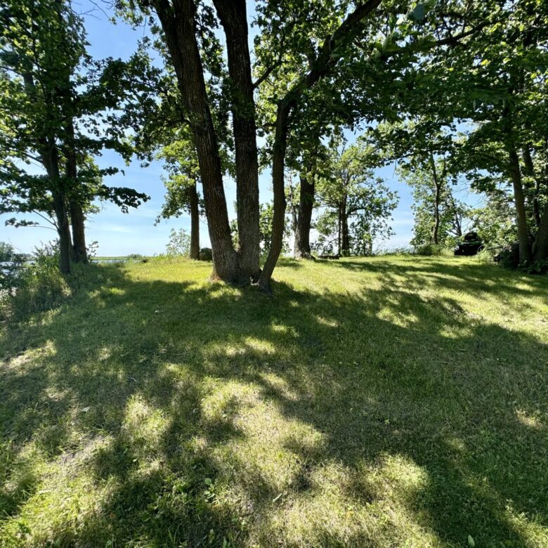 Almos Lake – 121109 Buffalo Lake Ln Eden, SD