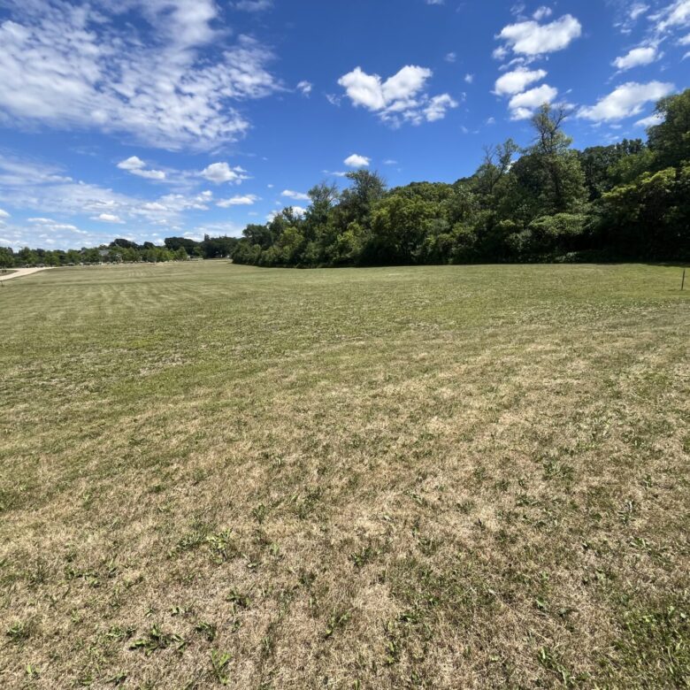 1 Acre Build Site – Back Lot – Lake Traverse Minnesota