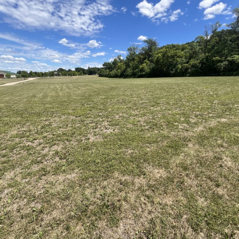 1 Acre Build Site – Back Lot – Lake Traverse Minnesota