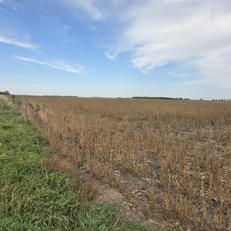 80 +/- Acres – Roberts County, SD