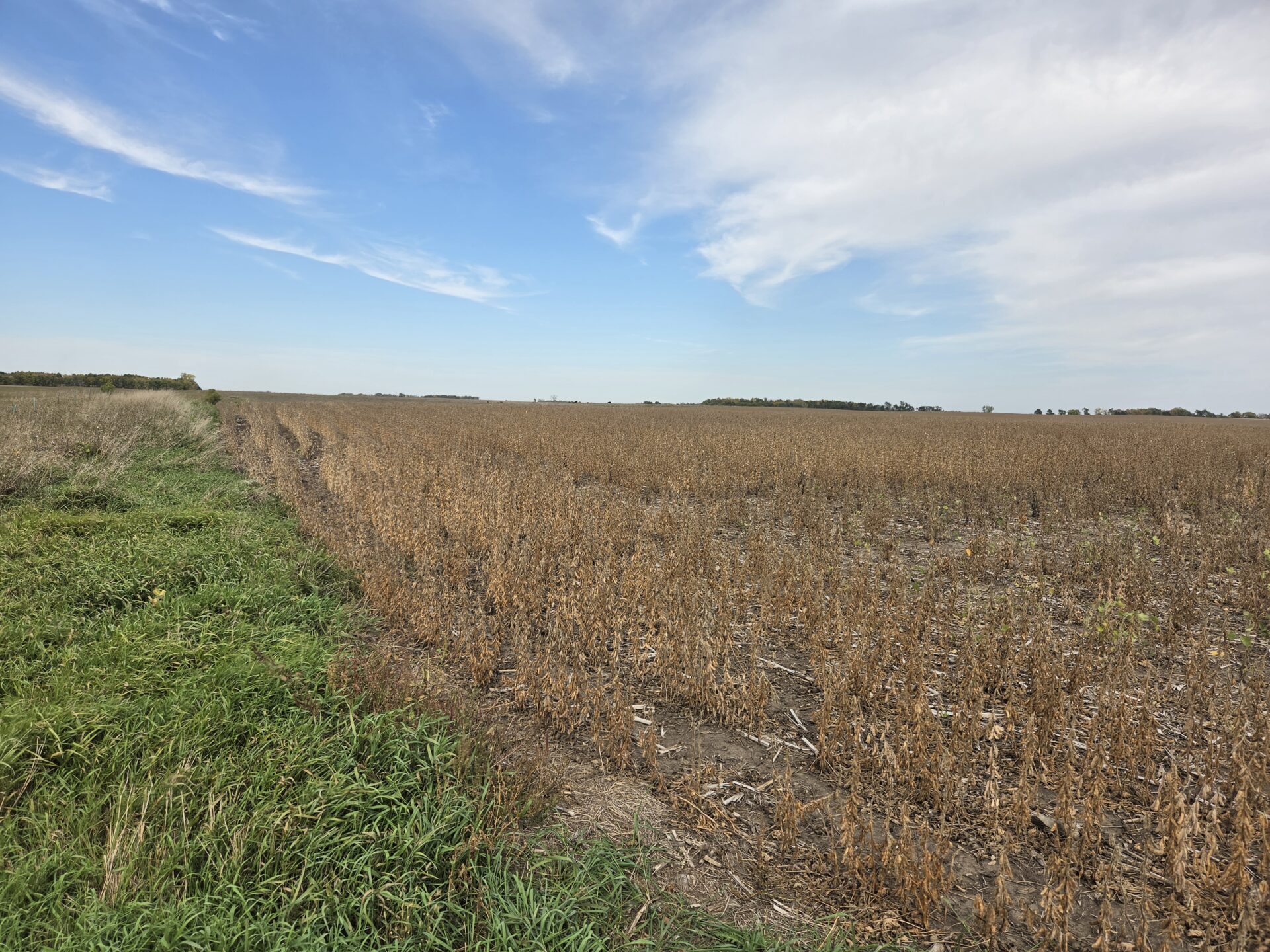 80 +/- Acres – Roberts County, SD