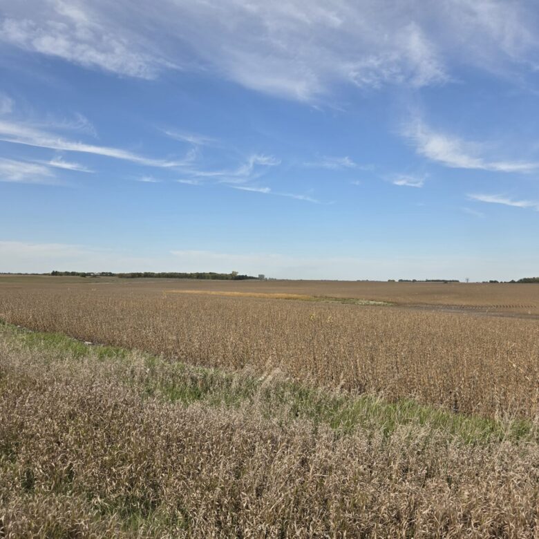 80 +/- Acres – Roberts County, SD