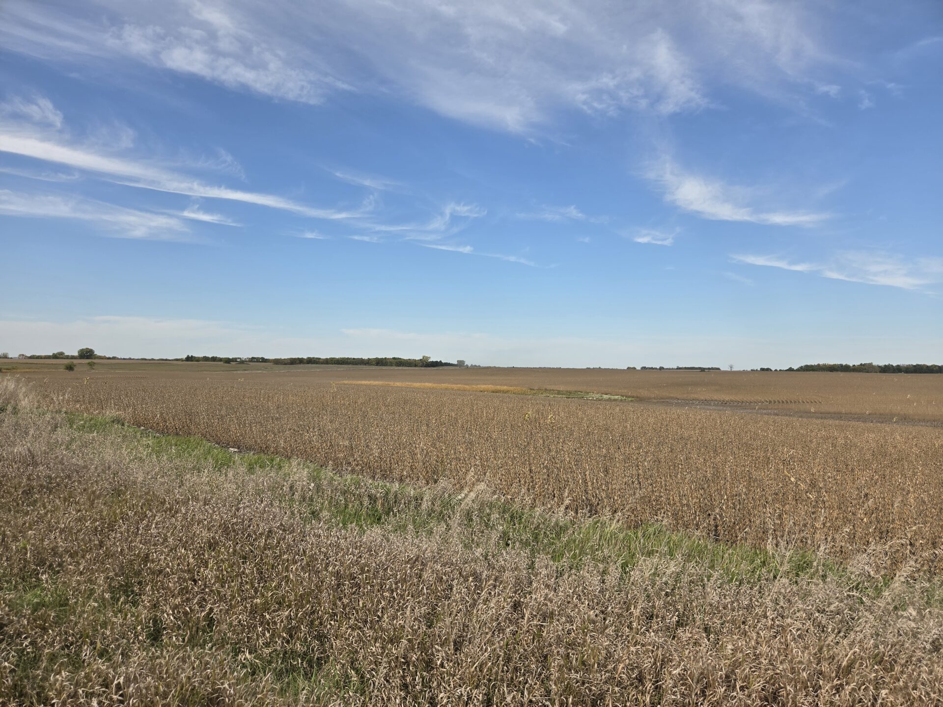 80 +/- Acres – Roberts County, SD